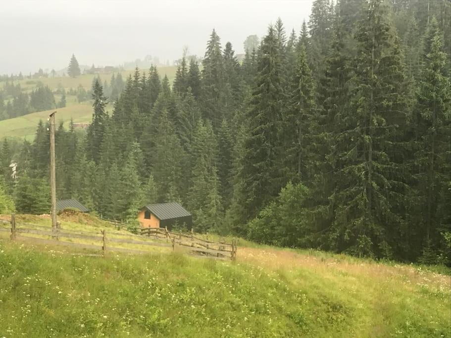 Шале Dereva Jablunytsja Eksteriør bilde